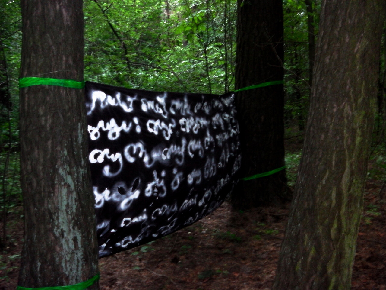 Tae Ateh. Asemic Intervention in the Forest. Workshop documentation. - Tae Ateh  - provided by the author......