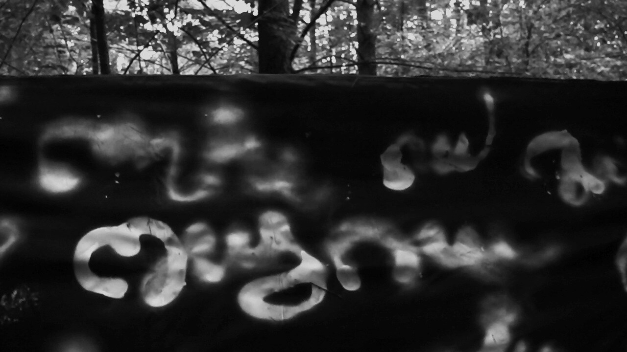 Tae Ateh. Asemic Intervention in the Forest. Workshop documentation. - Tae Ateh  - provided by the author