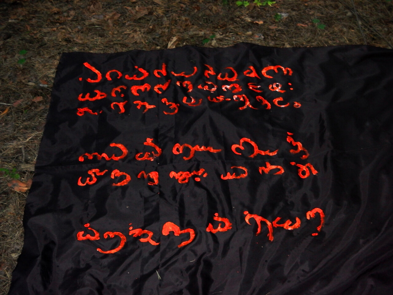 Tae Ateh. Asemic Intervention in the Forest. Workshop documentation. - Tae Ateh  - provided by the author